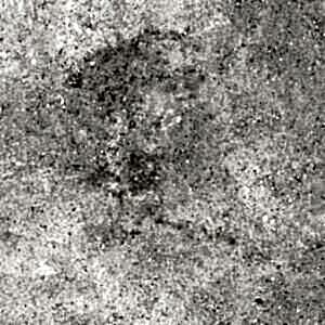 Reggio Ivory Floor Tiles