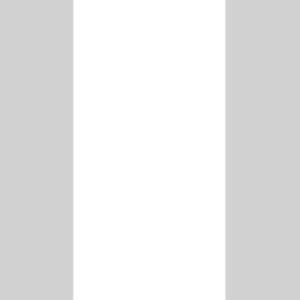 Bevelled Mini White Matt Metro Tiles