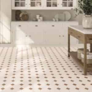 Canterbury Terracotta Octagon Tiles in a kitchen setting